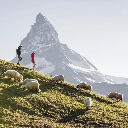 Apartmán Alpine Black Pearl - Modern & Stylish By Inspiringplaces Zermatt